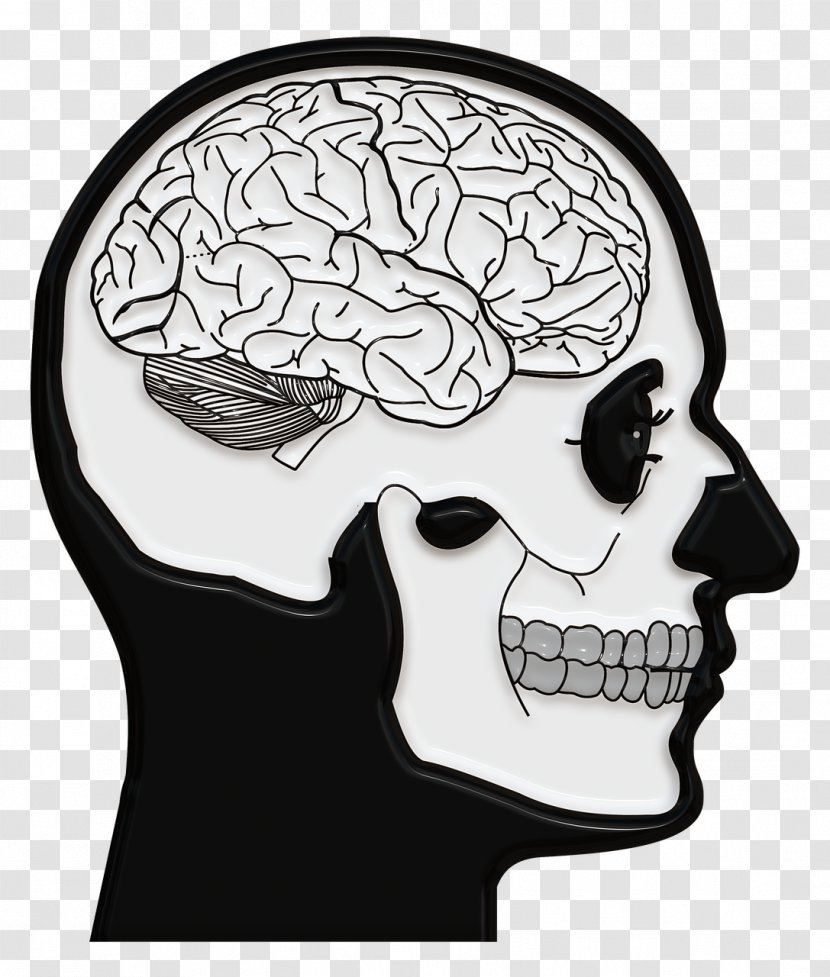 Brain Skull And Crossbones N-back Neuroscience - Heart Transparent PNG