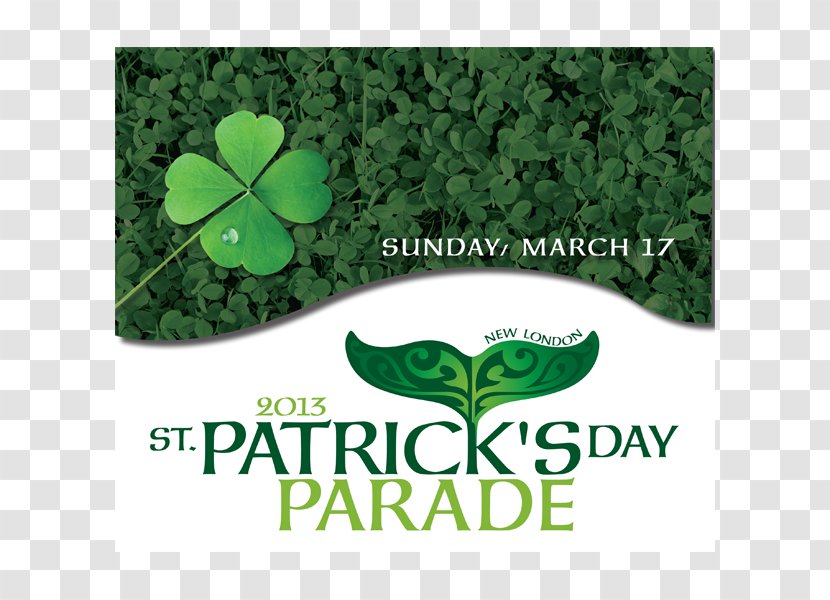 Graphic Design Designer Creativity - St. Patrick Celebration Transparent PNG