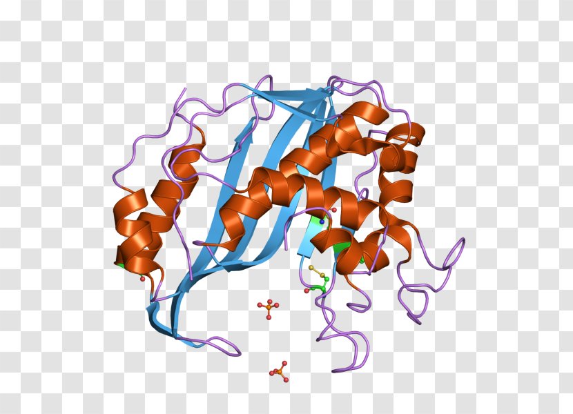 Thymidylate Synthase Thymidine Monophosphate Catalysis Deoxyuridine Transparent PNG