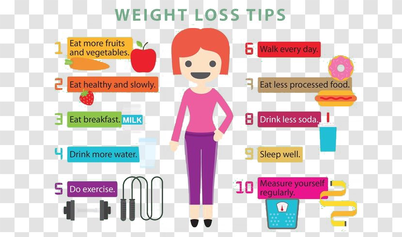 Weight Loss Diet Physical Fitness Health - Vector Equipment Woman Habits Transparent PNG