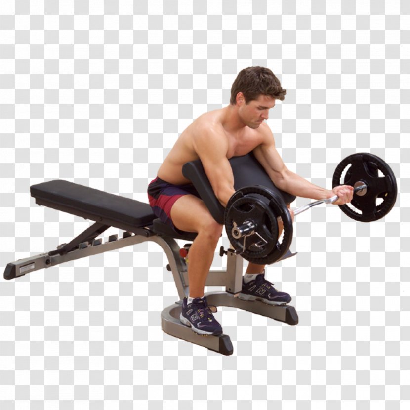 Bench Biceps Human Body Forearm Triceps Brachii Muscle - Frame Transparent PNG