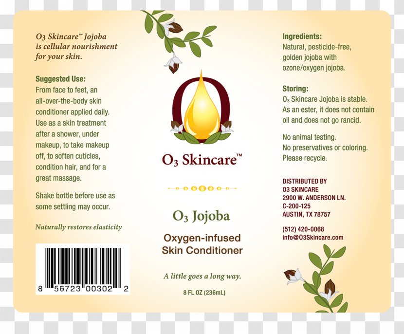 Brand Fruit Skin Font - Geisel Award Transparent PNG