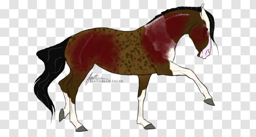 Mustang Foal Stallion Colt Mare - Horse Supplies - War Transparent PNG