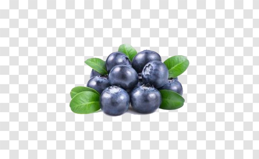 Juice Fruit Blueberry Seed Bilberry - Green Free Material Transparent PNG