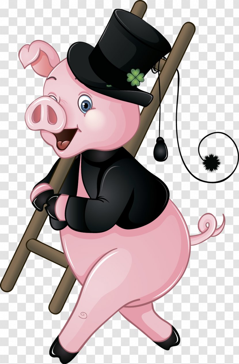 Domestic Pig Stock Photography - Nose Transparent PNG