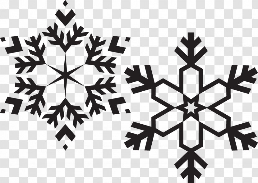 Snowflake Drawing Christmas - Symbol - Black And White Snowflakes Transparent PNG
