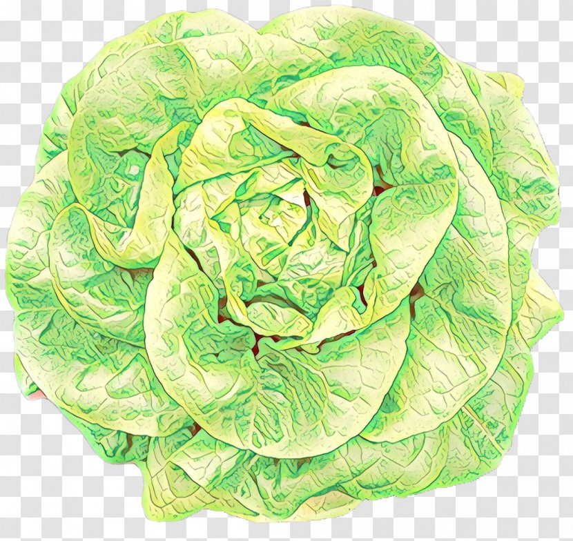 Cabbage Leaf Vegetable Lettuce Iceburg Flower - Cruciferous Vegetables Plant Transparent PNG