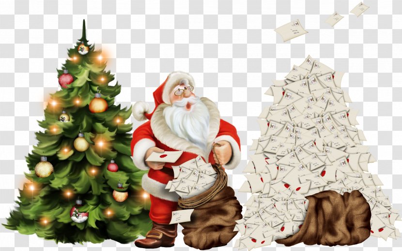 Spruce Christmas Tree Decoration Fir - Decor - Santa Transparent PNG