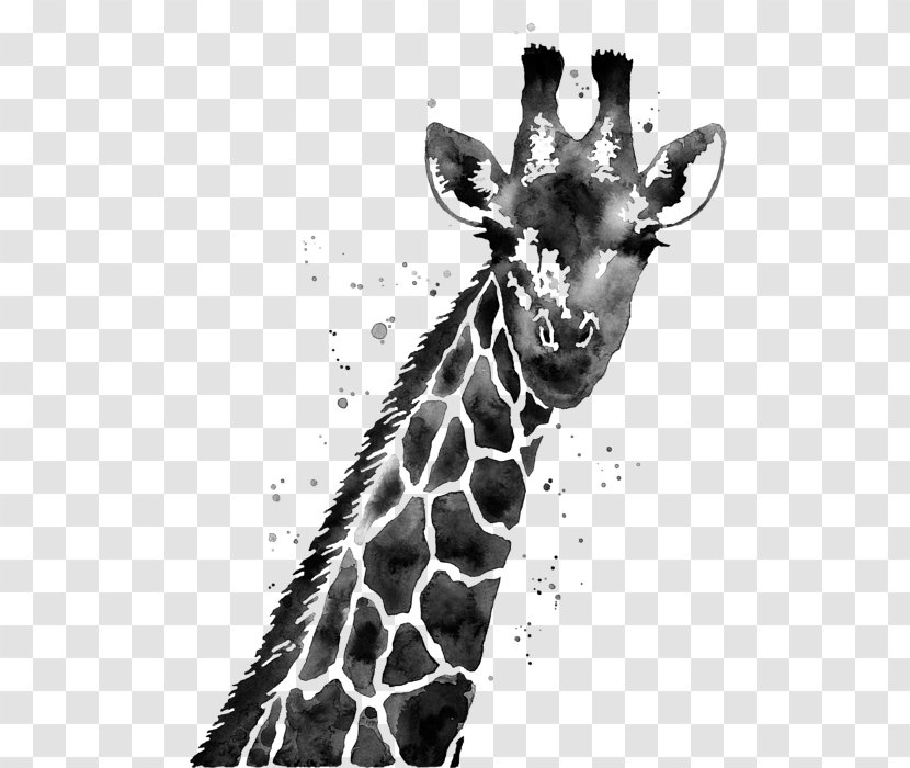 Giraffe White Painting (Three Panel) Black And Abstract Art Canvas - Mammal Transparent PNG