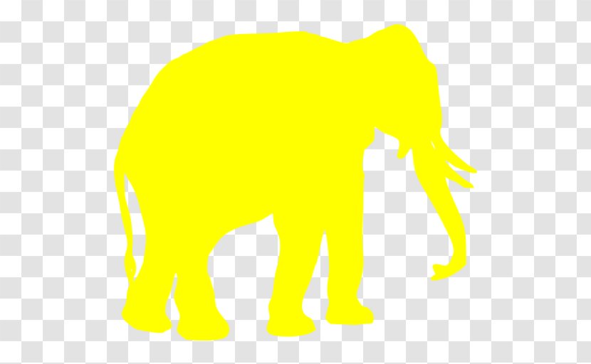 Indian Elephant African Felidae Cat - Tail Transparent PNG