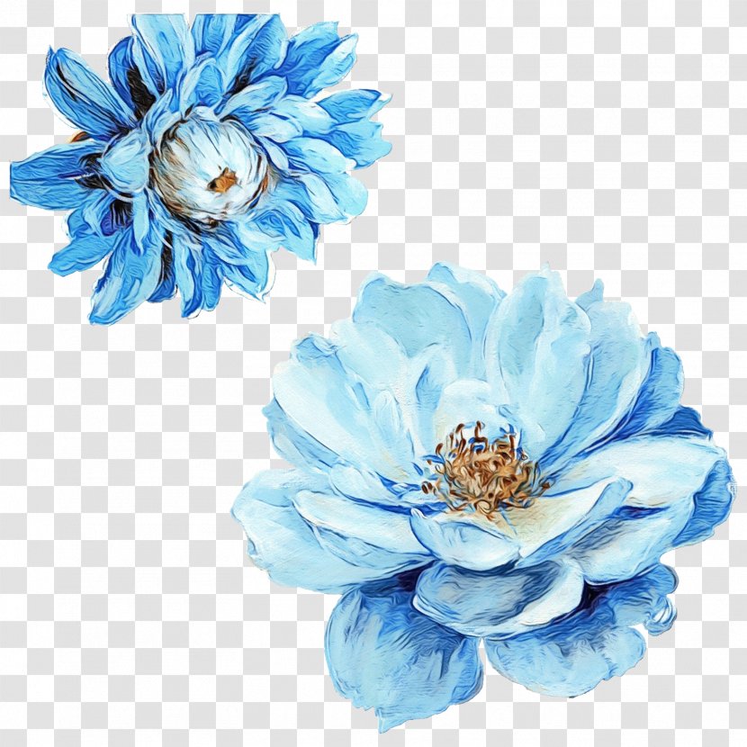 Flower Floral Design Watercolor Painting Blue - Peony Transparent PNG