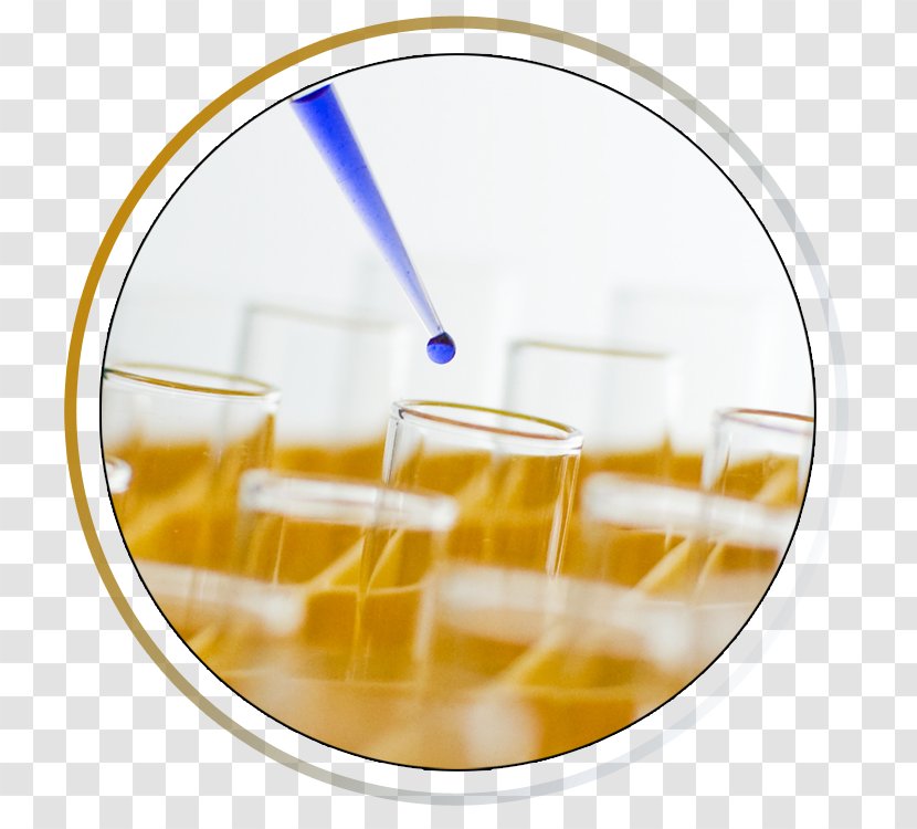 Chemistry Science Chemical Engineering Dietary Supplement Laboratory - Test Transparent PNG