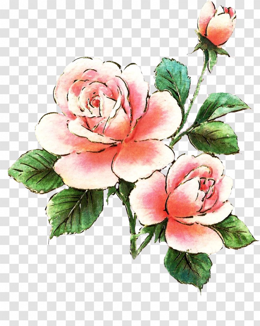 Rose Pink Free Clip Art - Flower - Roses Photo Transparent PNG
