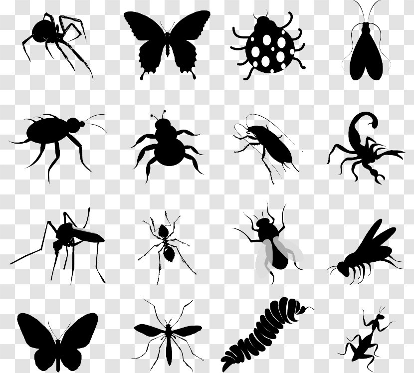 Insect Silhouette Butterfly Clip Art - Pollinator - Silhouettes Transparent PNG
