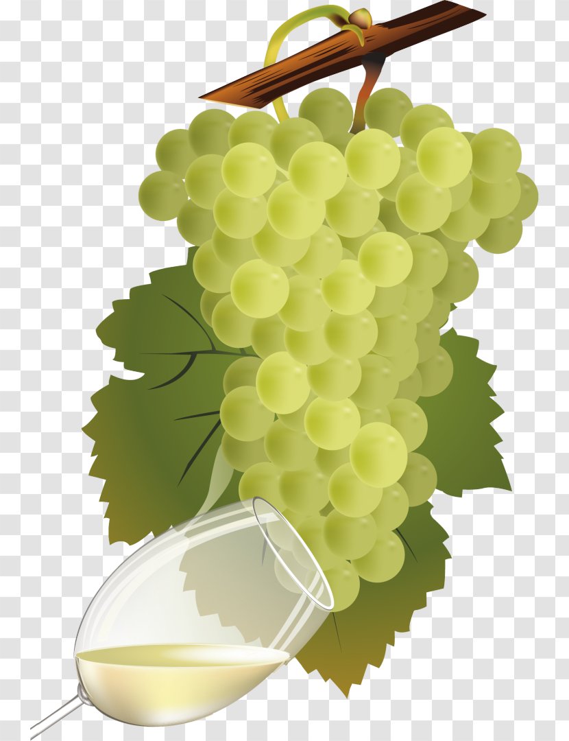 Common Grape Vine Wine Vinho Verde - Grapevines Transparent PNG