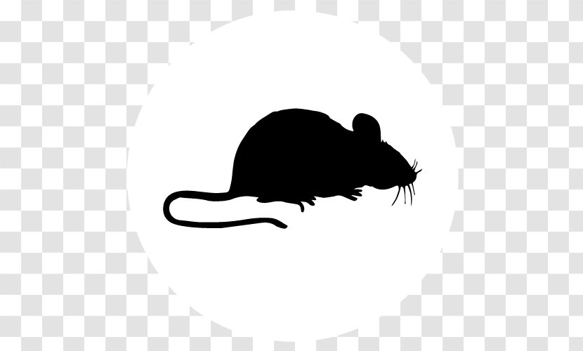 Computer Mouse Rat Decal Mats - Carnivoran Transparent PNG