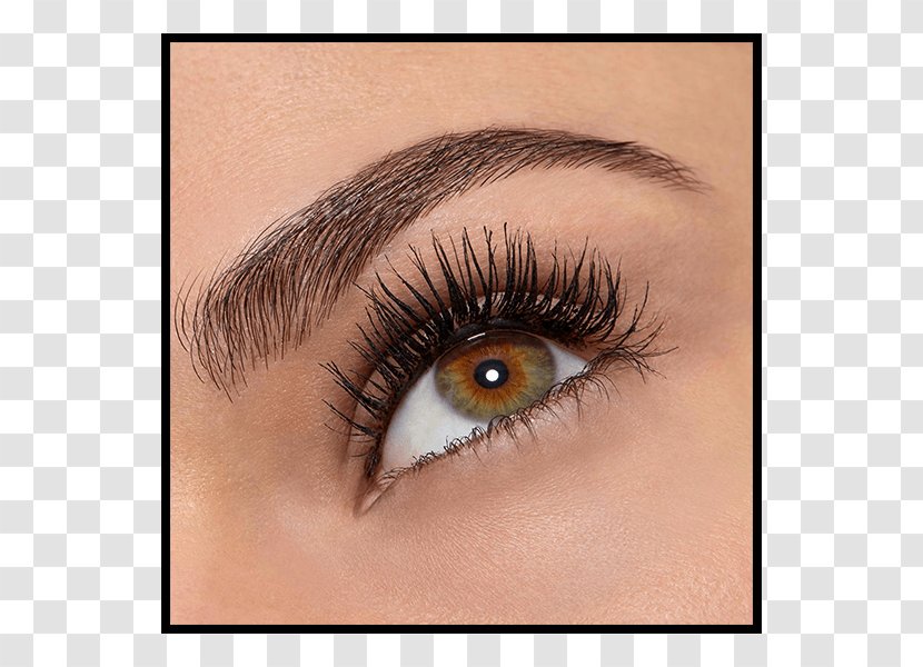 Mascara Cosmetics Eye Shadow Maybelline Eyelash - Extensions - Eyebrows Transparent PNG
