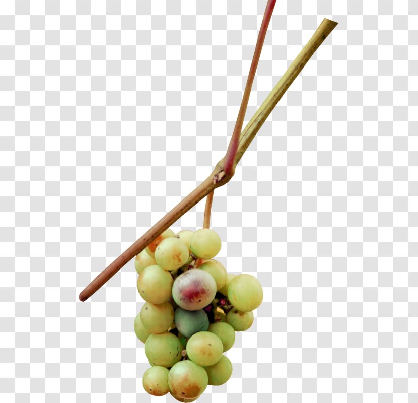 Grape Fruit Auglis - Food Transparent PNG