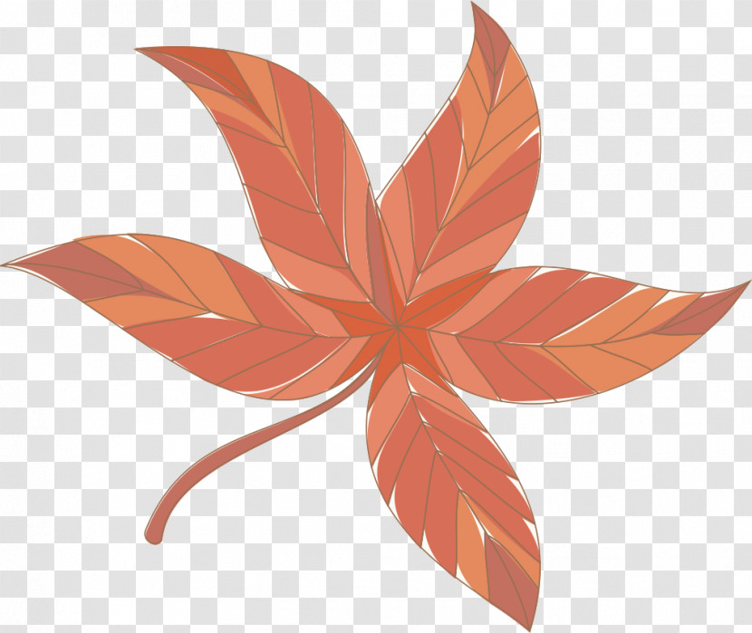 Leaf Orange S.a. Science Plants Transparent PNG