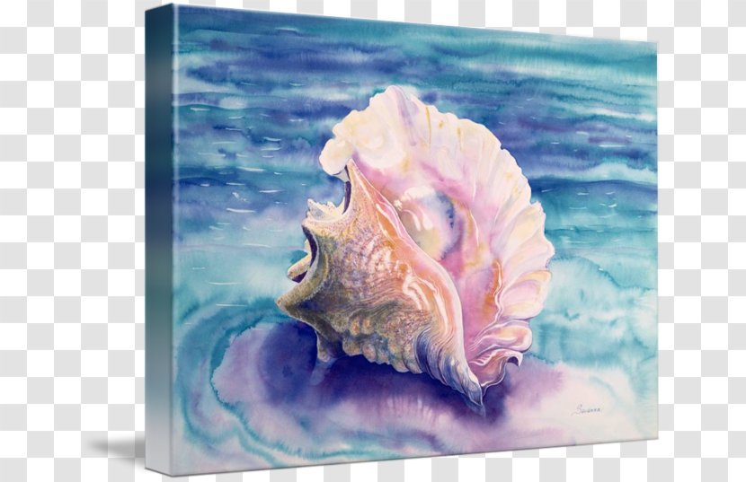 Watercolor Painting Lobatus Gigas Seashell Conch Transparent PNG