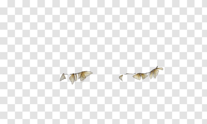 Canidae Dog Fauna Mammal Wildlife Transparent PNG