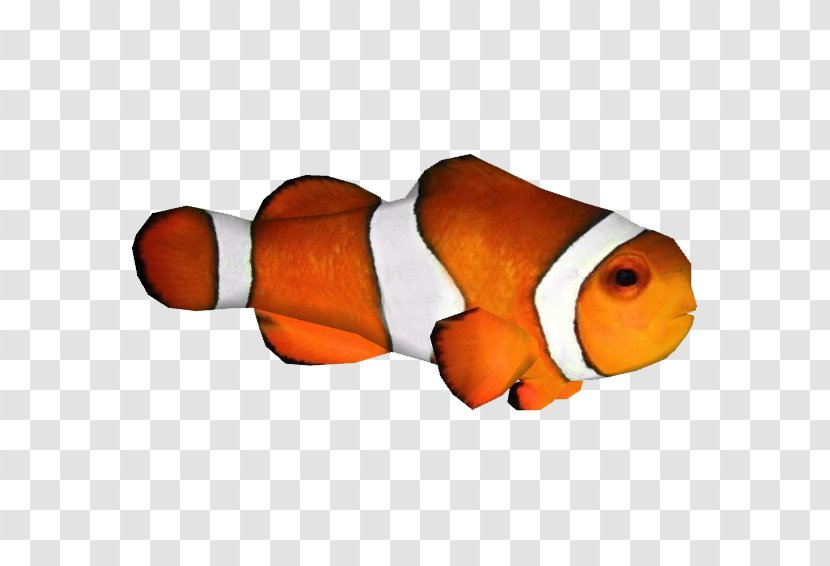 Clip Art Clownfish Image - Painting - Afro Background Transparent PNG