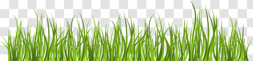 Green Clip Art - Plant Stem - And Simple Grass Transparent PNG