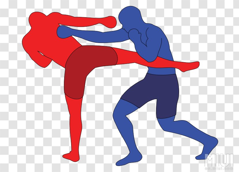 Kick Punch Boxing Discus Throw Sport - Flower Transparent PNG