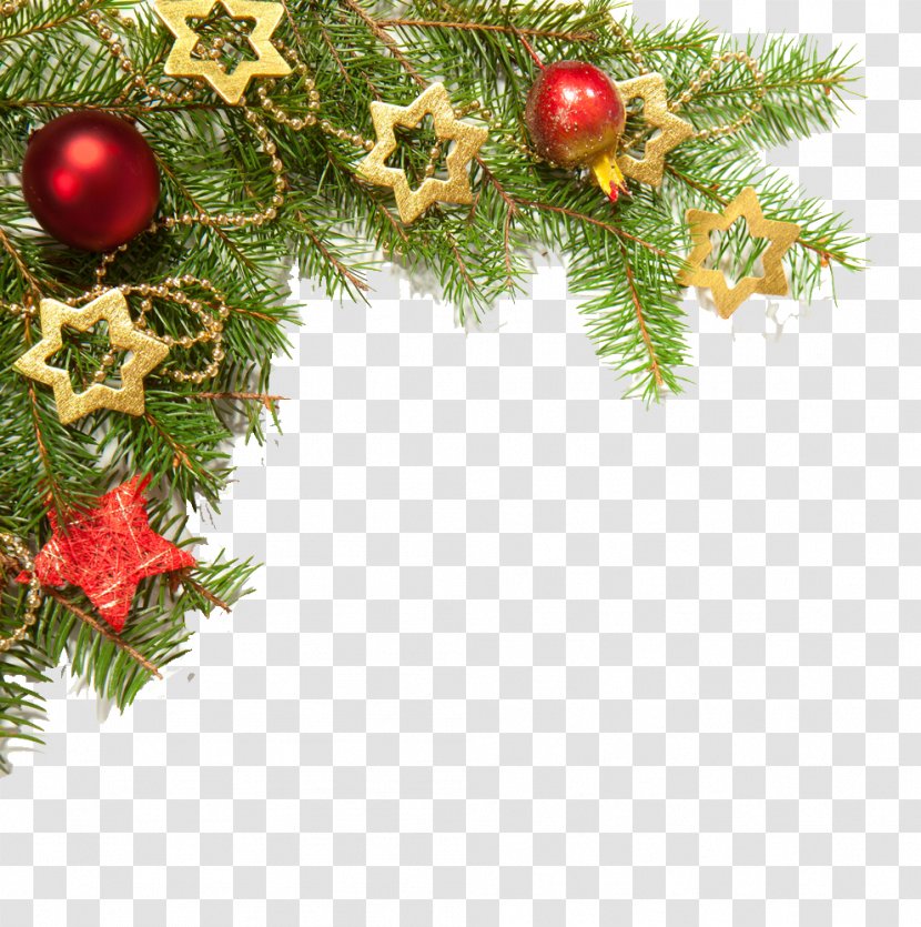 Christmas Decoration - Tree - Spruce Holly Transparent PNG