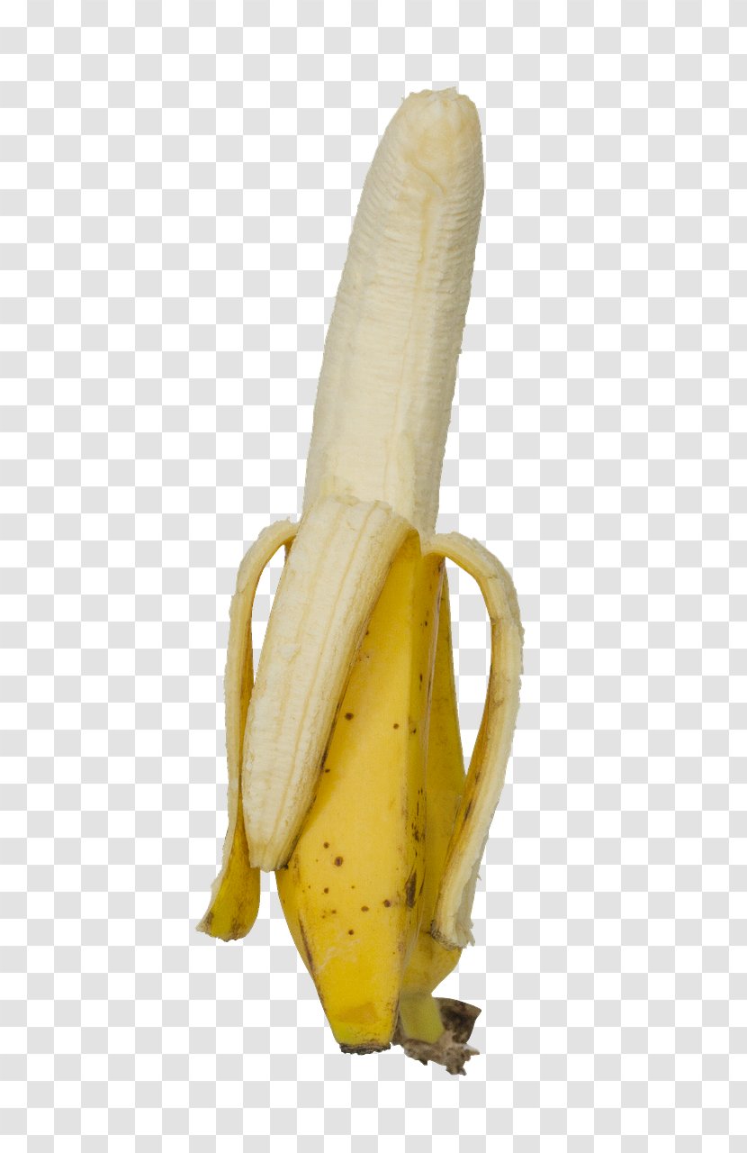 Banana Corn On The Cob Transparent PNG