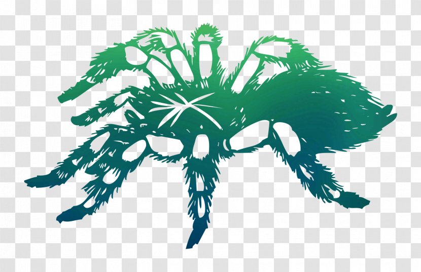 Spider-Man The Tarantula Coloring Book - Logo - Plant Transparent PNG