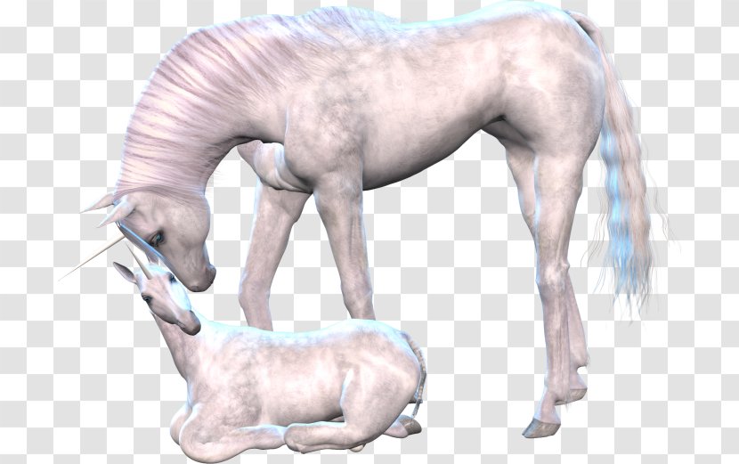 Unicorn Horse Mane Clip Art - Mythical Creature Transparent PNG