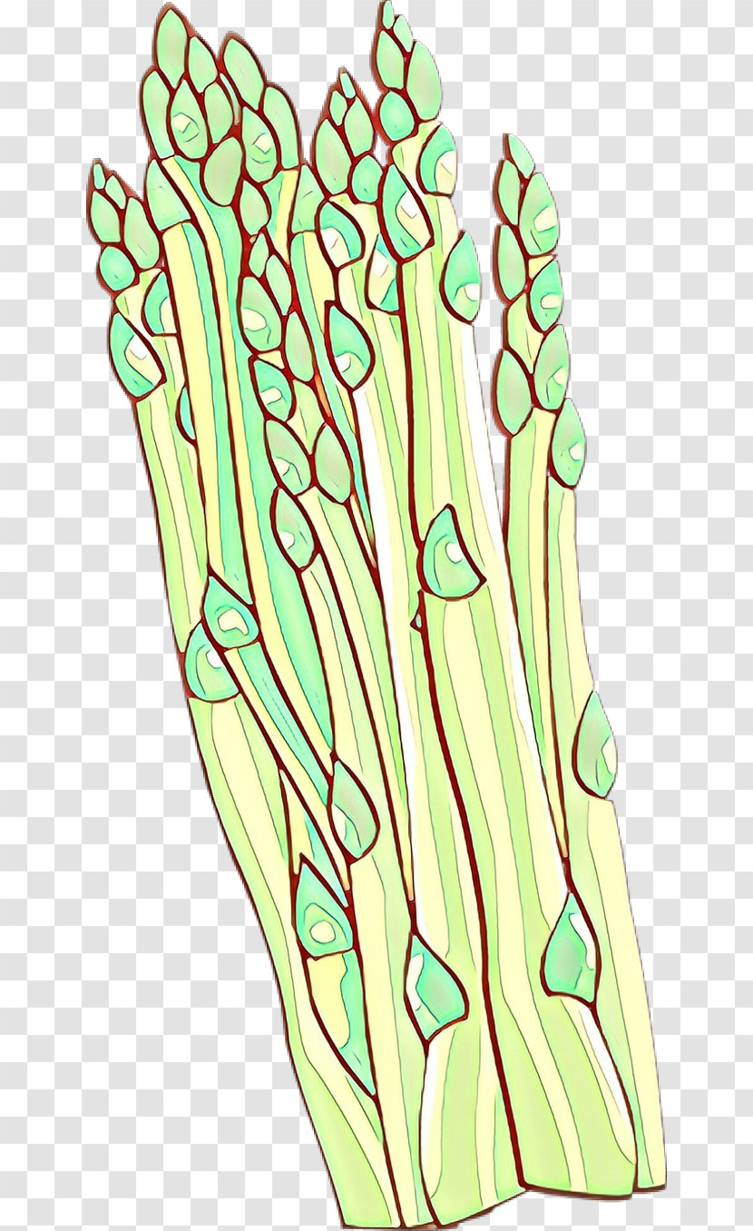 Plant Plant Stem Transparent PNG