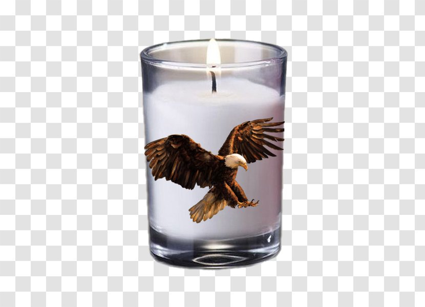 Verrine Mug Broken Wings Glass Eagle Transparent PNG