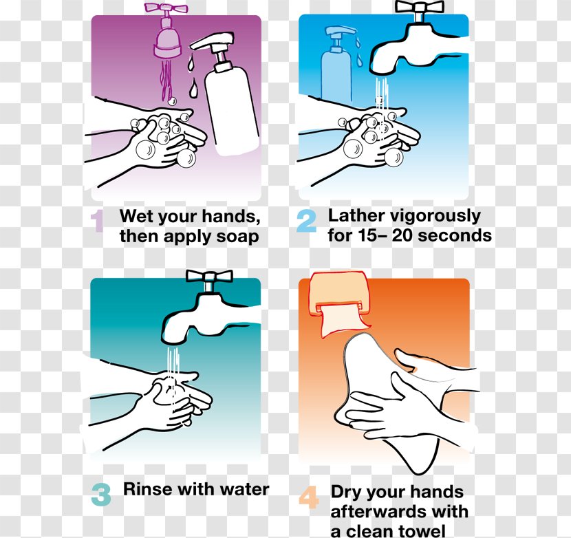 Colds & Flu Influenza Preventive Healthcare Hand Washing Common Cold - Tree Transparent PNG