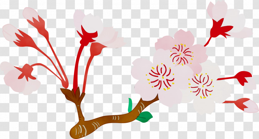 Flower Plant Pedicel Branch Plant Stem Transparent PNG