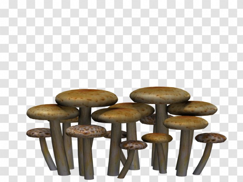 Mushroom Fungus - Table - Fantasy Transparent PNG
