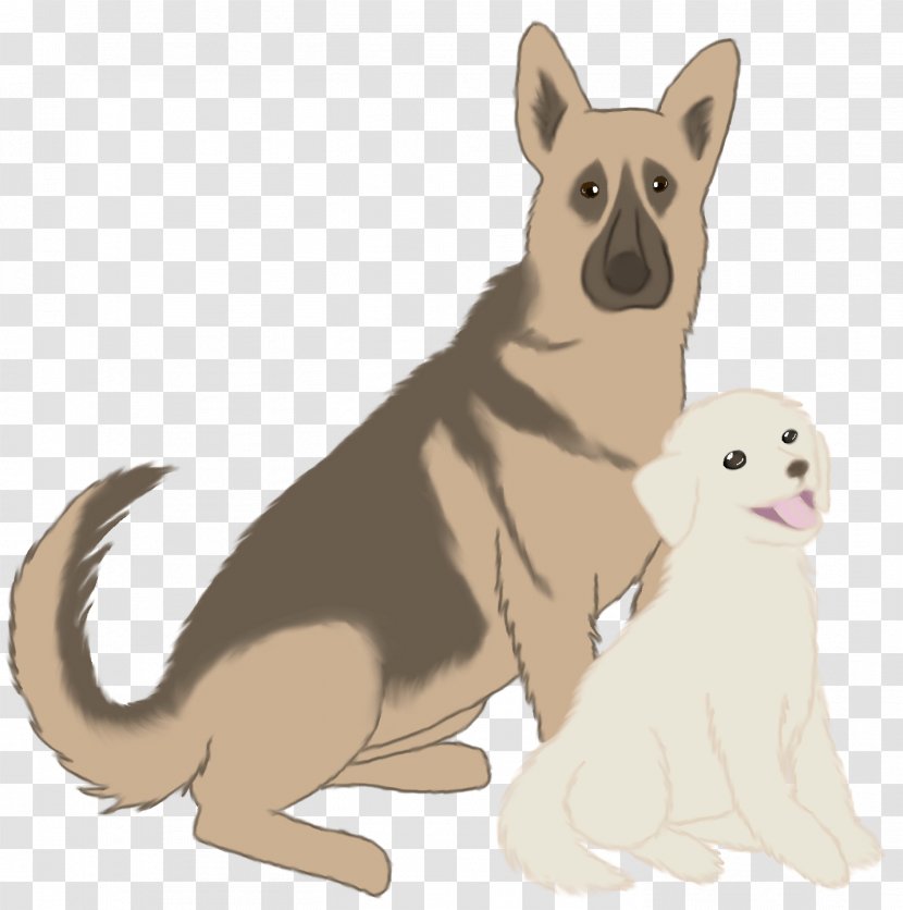 Dog Breed Puppy Macropods Illustration - Tail Transparent PNG