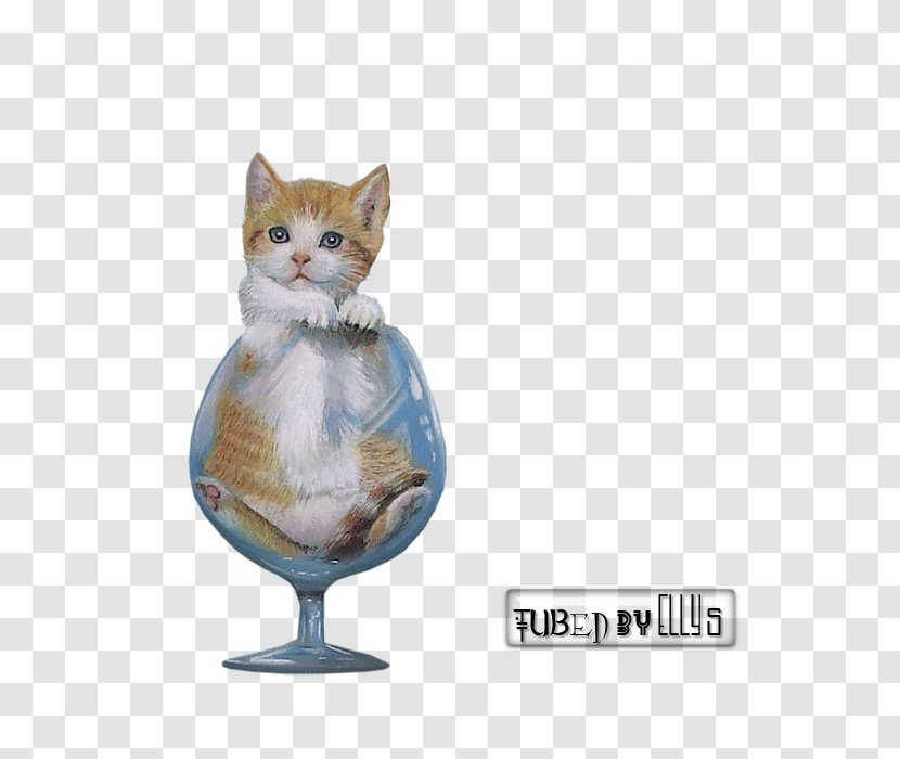 Whiskers Cat Kitten PSP Game - Hobby Transparent PNG