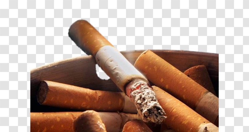 Tobacco Smoking Cigarette Ban - Cartoon Transparent PNG
