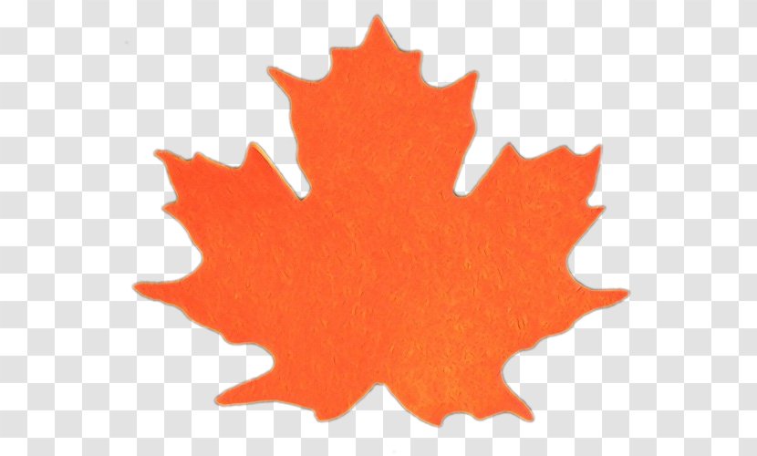 Maple Leaf - Plant Black Transparent PNG