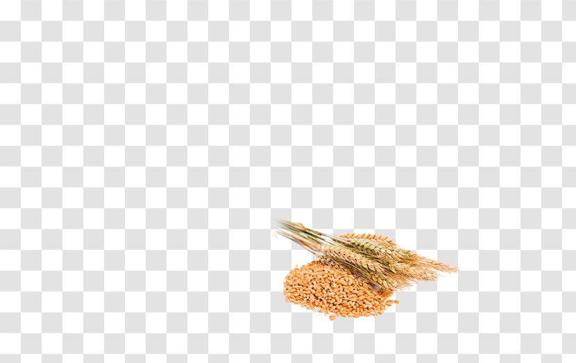 Whole Grain Vaisakhi Rusk Food Wheat Transparent PNG