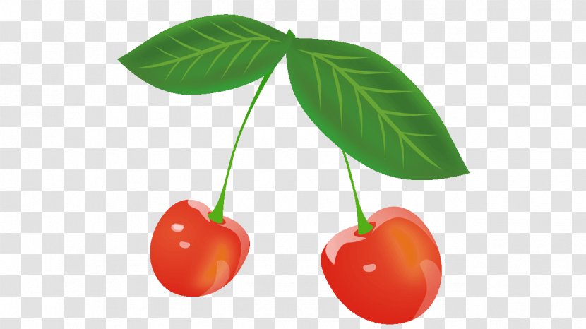 Cherry Food Fruit Clip Art Transparent PNG