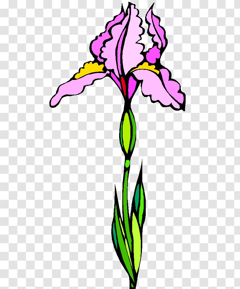 Floral Design Cut Flowers Plant Stem Leaf - Pink M - Trik Transparent PNG