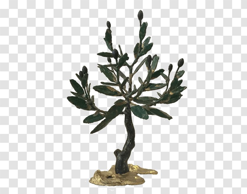Flowerpot Branching Plant Stem Olive - Tree Transparent PNG