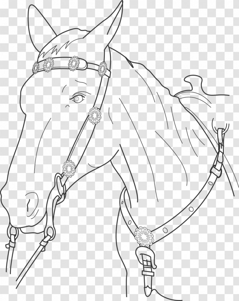 Mule Bridle Mustang Pet Drawing - Monochrome Transparent PNG