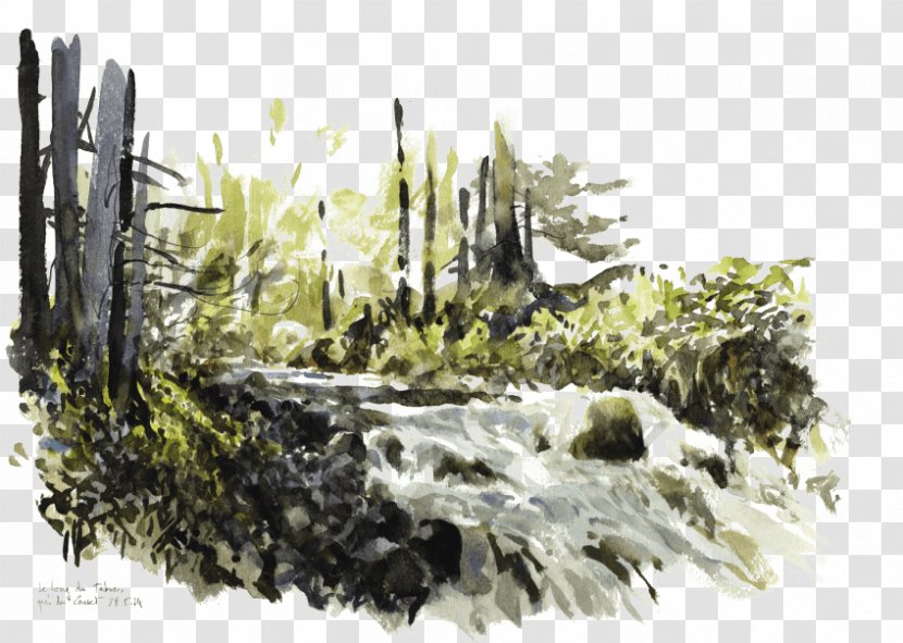 Watercolor Painting Torrent River - Vegetation - Water Transparent PNG