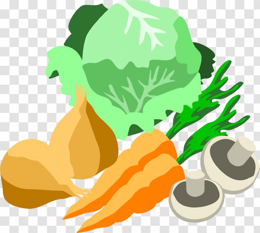 Vegetable Farming Carrot Food - Illustration Transparent PNG
