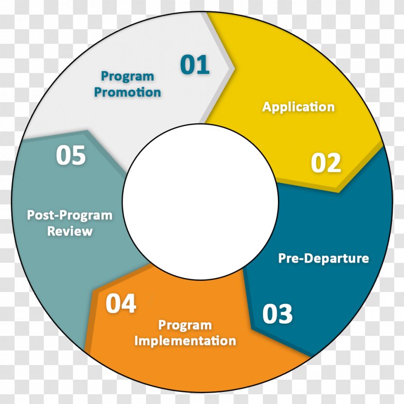 Computer Program Implementation Organization Promotion - Text - Creative Service Elements Transparent PNG