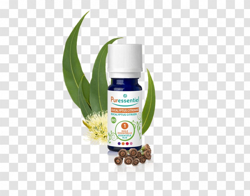 Essential Oil Eucalyptus Lemon-scented Gum - Herbal Transparent PNG